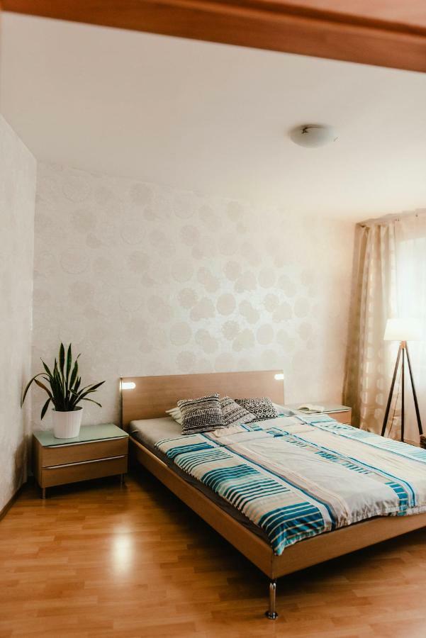 Old Town Apartment Pellicova Brno Exterior foto