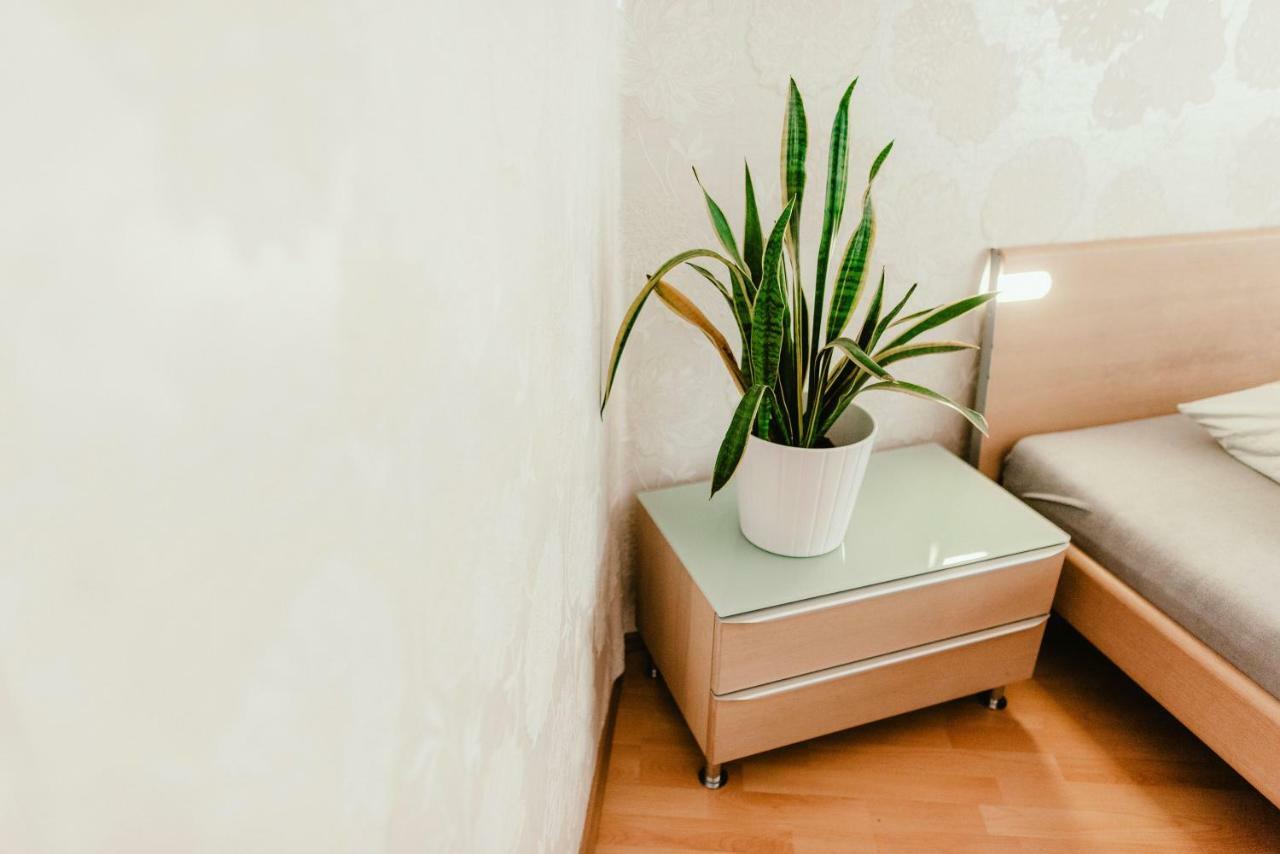 Old Town Apartment Pellicova Brno Exterior foto